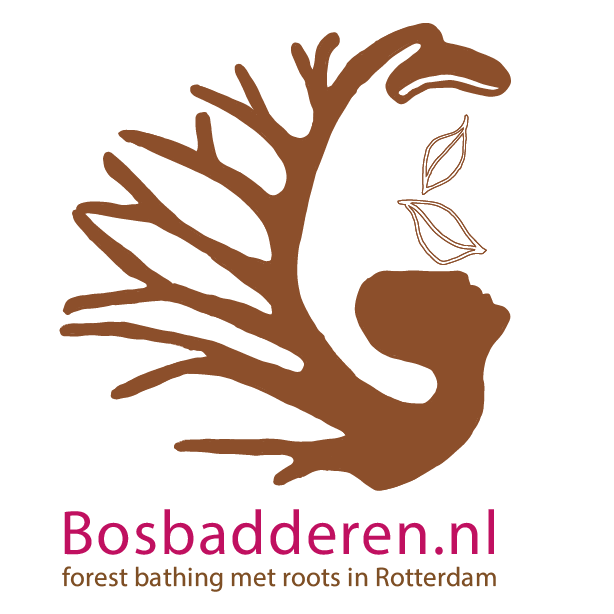 cropped-doorzichtig-logo-helemaal-netjes-met-witruimte