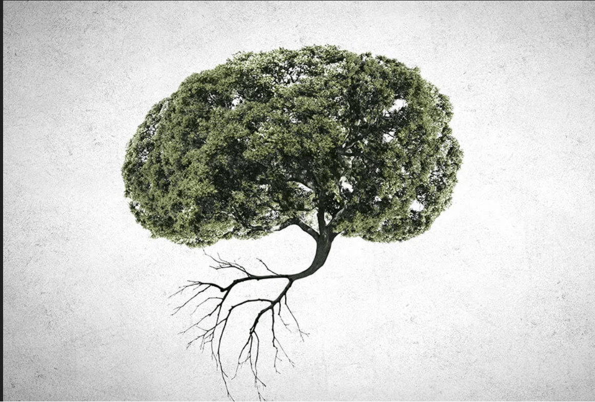 breintree