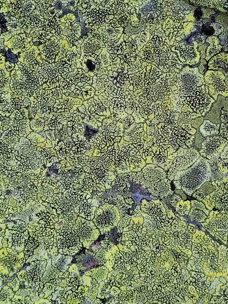 20220722_093227