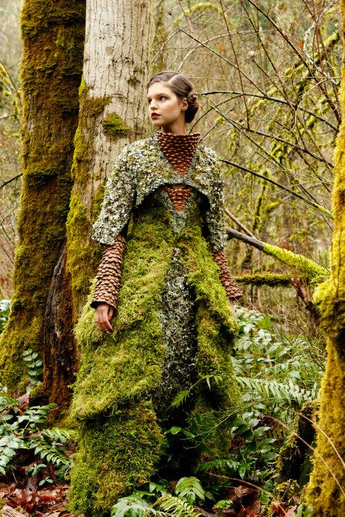 Become One with the Forest and the Land.