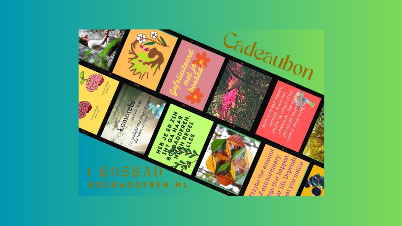 Geef een bosbad cadeau